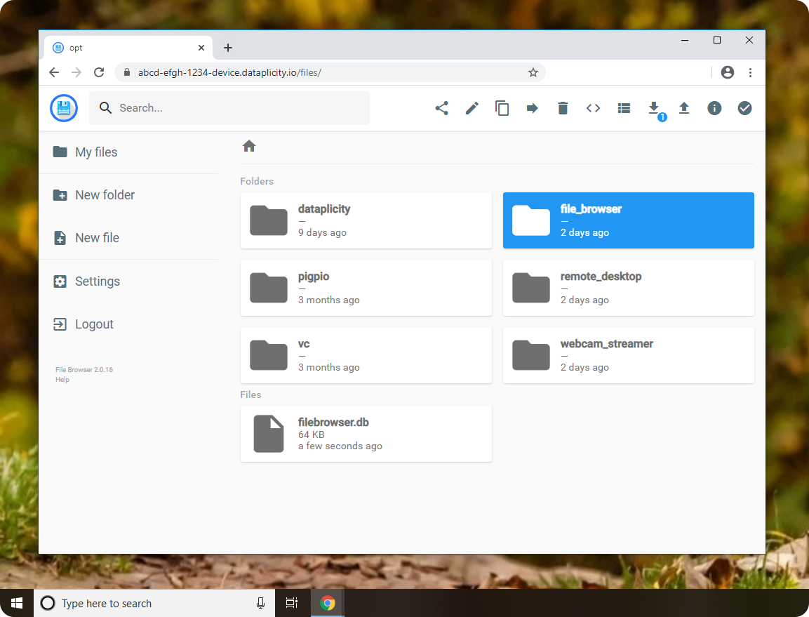 Filebrowser via Wormhole