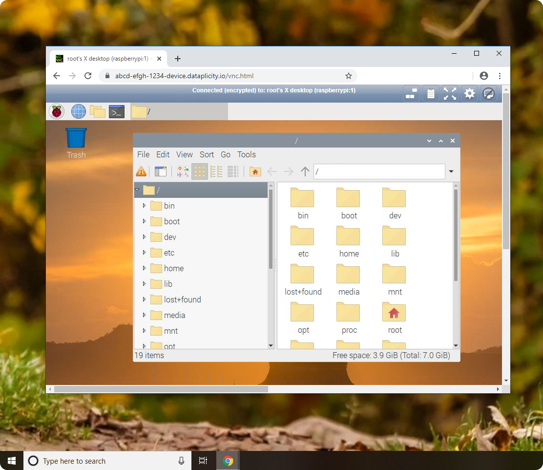 Desktop access via noVNC and Wormhole
