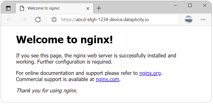 NGINX page via Wormhole