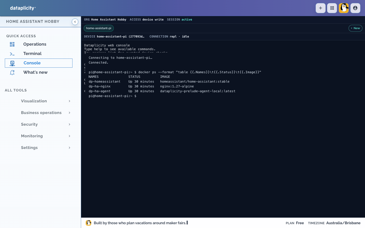 Dataplicity console on home-assistant-pi showing docker ps with the Home Assistant container running