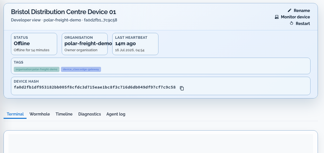 Focused Dataplicity device workspace showing device identity, organisation, status, last heartbeat, tags, full device hash, and Terminal, Wormhole, Timeline, Diagnostics, and Agent Log tabs