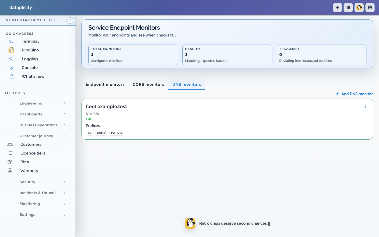 Current Service Endpoint Monitors DNS view with a healthy fleet.example.test delegation baseline